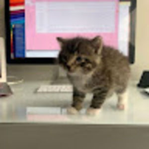 Meet your Posher, Mila